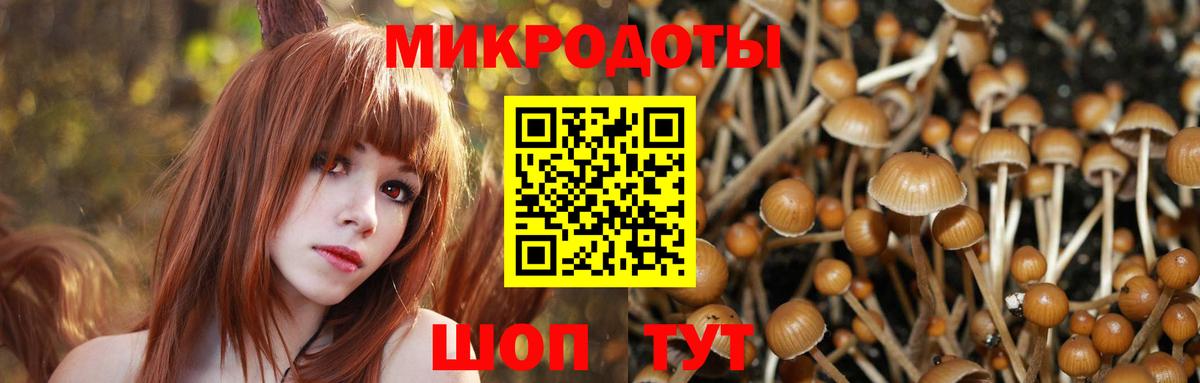 Псилоцибиновые грибы Cubensis  Псилоцибиновые грибы MAGIC MUSHROOMS  Вход с VPN  Губкинский 